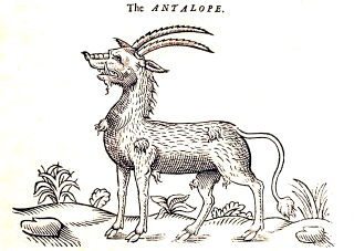 Illustration for article titled How Europeans Imagined Exotic Animals Centuries Ago, Based on Hearsay